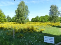 MiB-Fahrt vom 13. bis 17.05.2015 Groesbeek 08