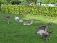 MiB-Fahrt vom 13. bis 17.05.2015 Groesbeek 36