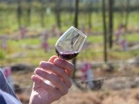 MiB-Fahrt vom 13. bis 17.05.2015 Groesbeek 02